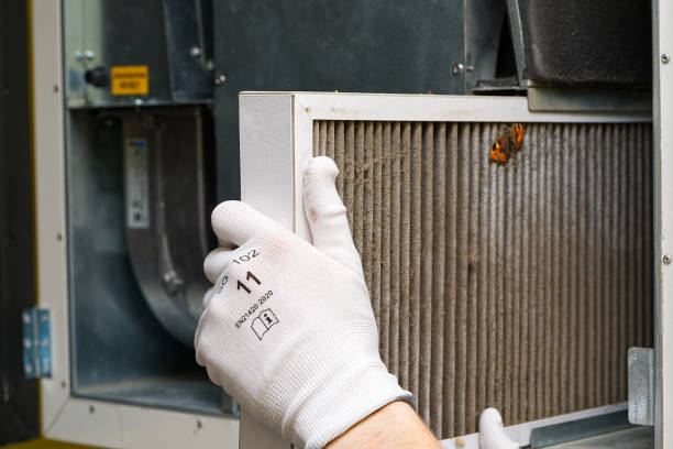 Best Home Air Vent Cleaning  in Homestead, FL