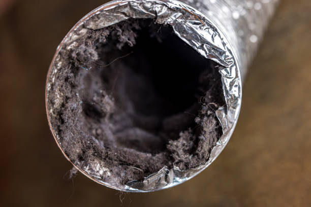 Best Ductwork Cleaning Services  in Homestead, FL