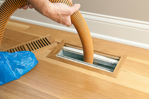 Best Affordable HVAC Duct Cleaning  in Homestead, FL