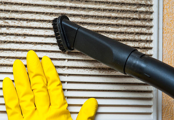 Best Local Air Duct Cleaning Services  in Homestead, FL